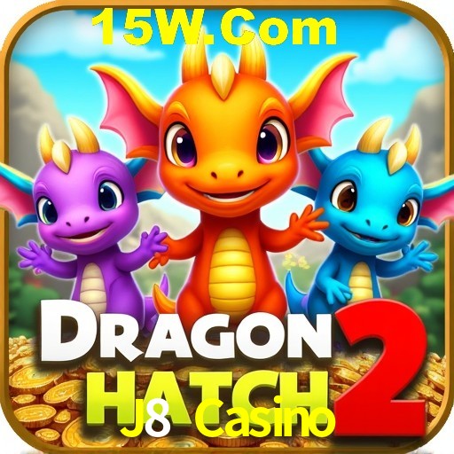 Security Systems J8 Casino